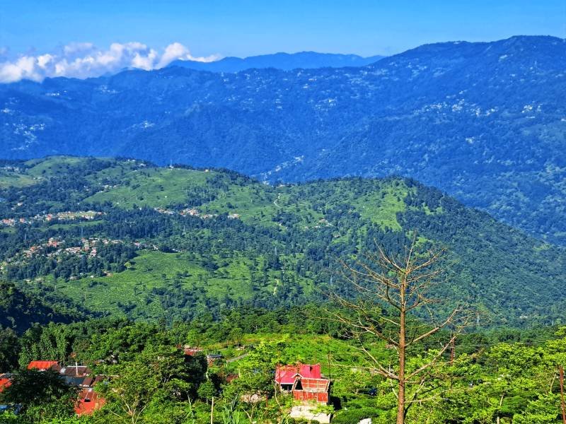 PBP Travels and Hotels